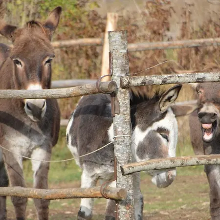 Apartment Casa Ladyhawke Santo Stefano Di Sessanio
