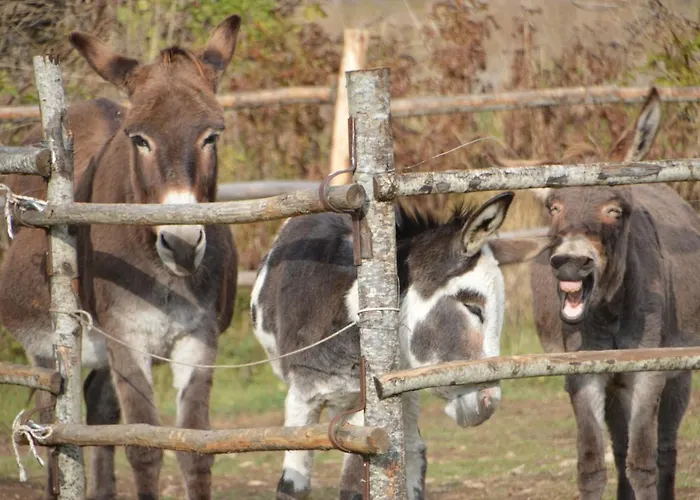 Appartement Casa Ladyhawke Santo Stefano Di Sessanio